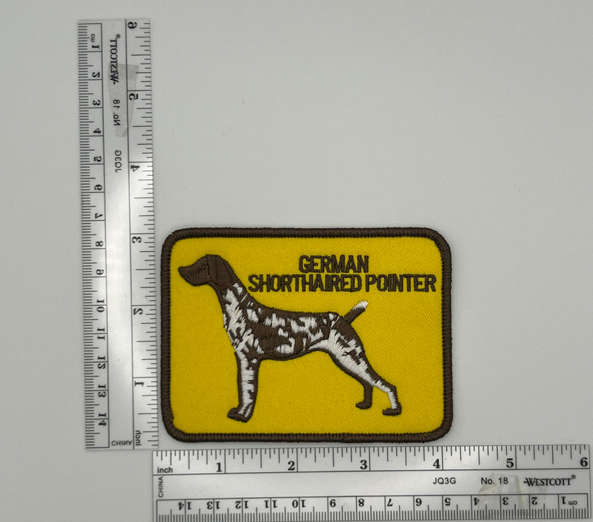 German Shorthaired Pointer